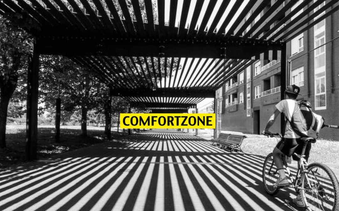 ROBERT VAN HARTEN / COMFORTZONE DEEL 2: POTENTIE