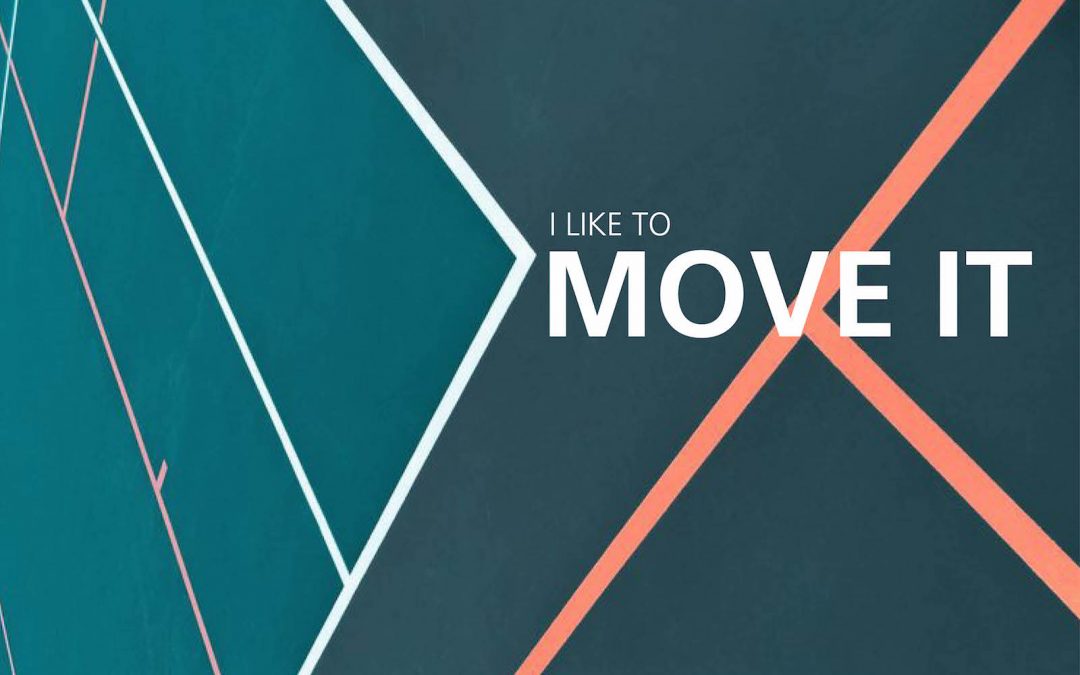 FEIKO REITSEMA / I LIKE TO MOVE IT: DE VLAM IN DE PAN