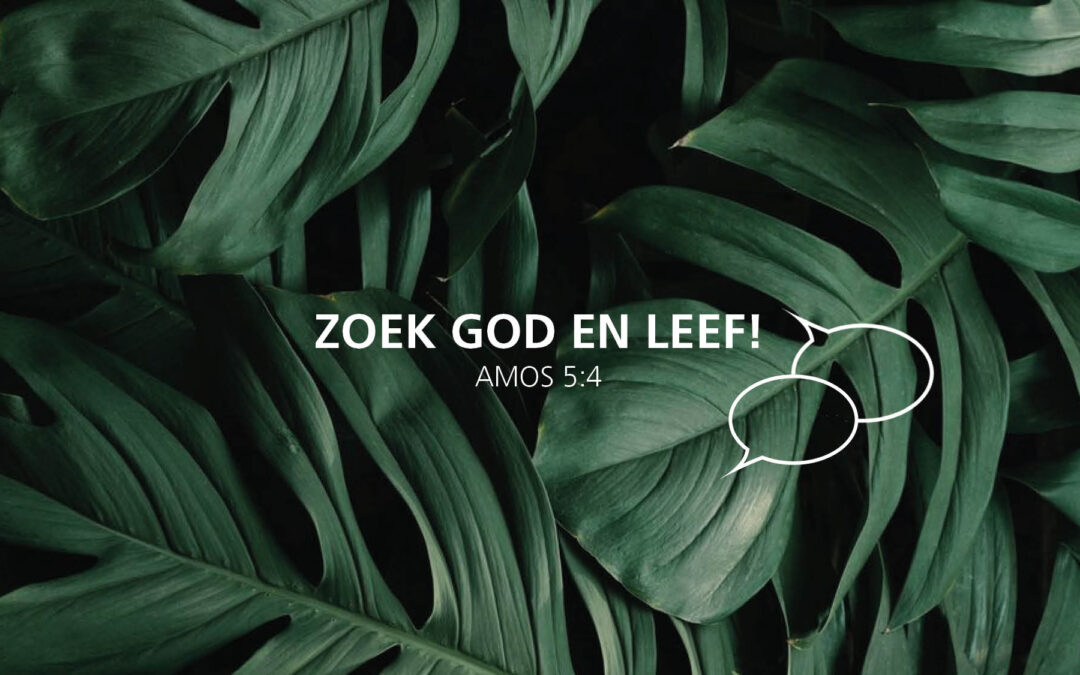 ANNEMIEK REITSEMA / WAT ALS GOD DE DOORN NIET UIT JE VLEES VERWIJDERD?