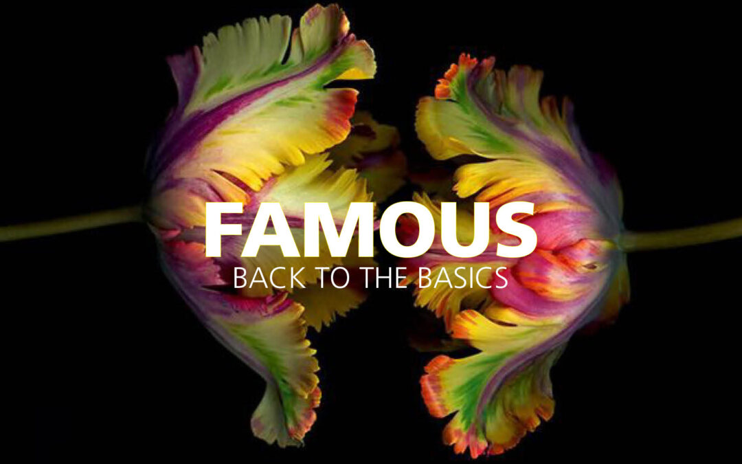 Famous 2 oktober 2021 / Back to the Basics