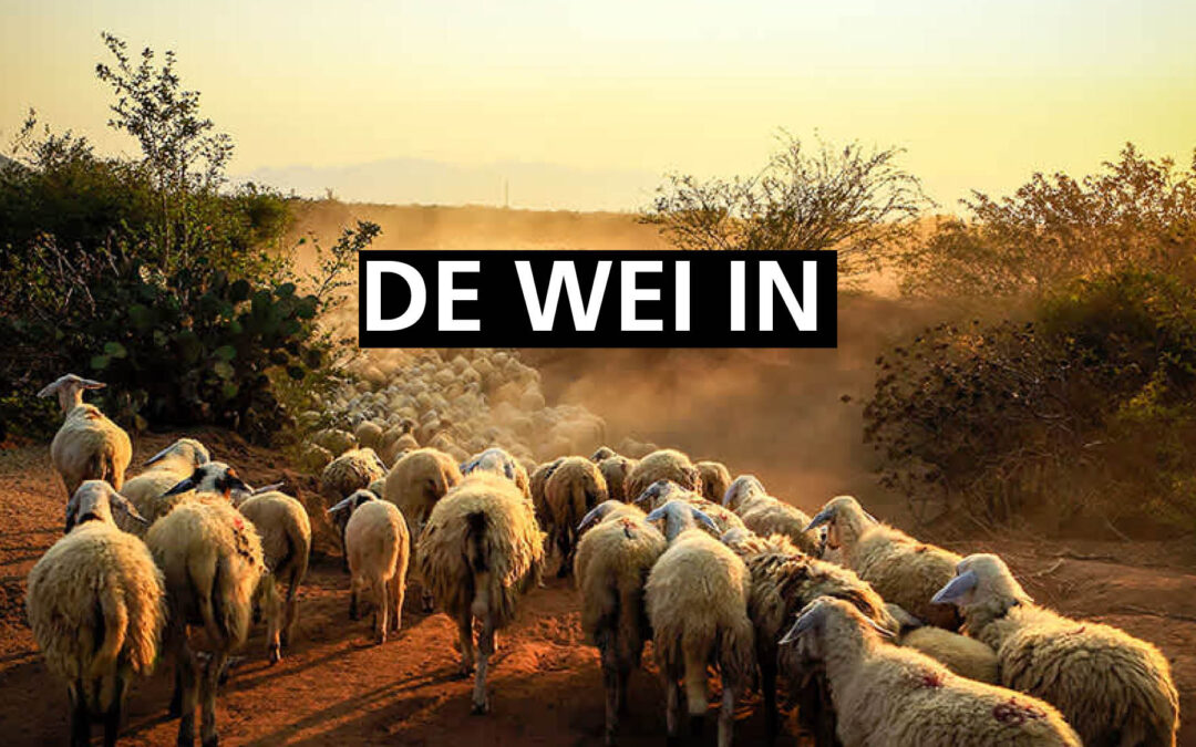 29/08/2021 ROBERT VAN HARTEN / DE WEI IN: LAST PART