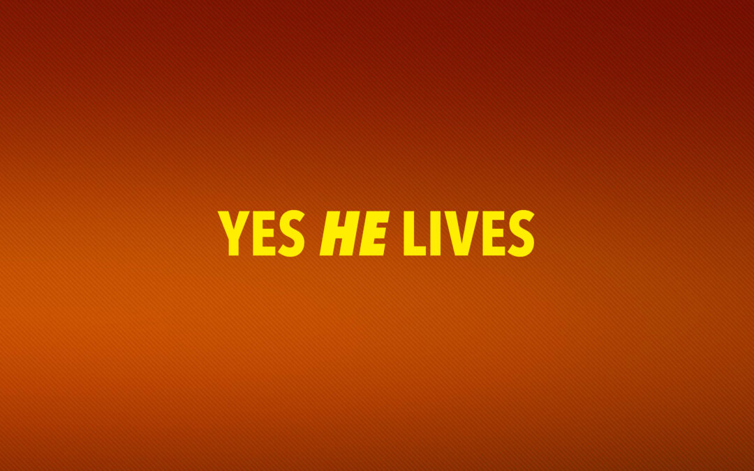 09/04/2023 Robert van Harten: YES HE LIVES!