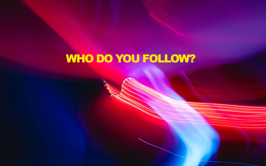 ROBERT VAN HARTEN / WHO DO YOU FOLLOW? : Frustratie leidt tot honger