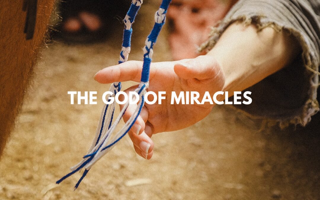 Annemiek Reitsema / The God of Miracles