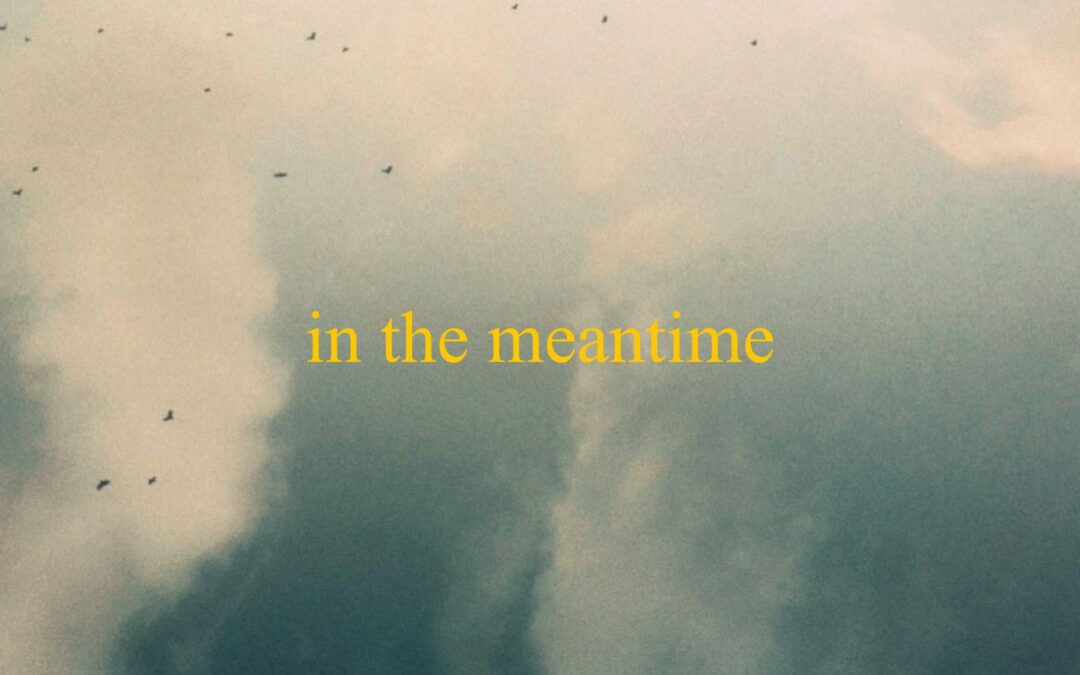 Robert van Harten / In the meantime: bouw geen goude kalf