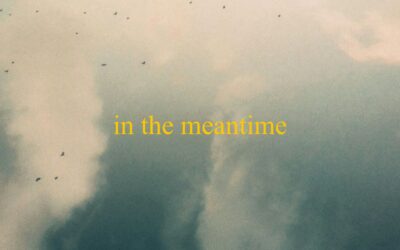 Robert van Harten / In the meantime: bouw geen goude kalf