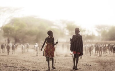 Harriet Hofsink / Compassion: Wat zie jij?