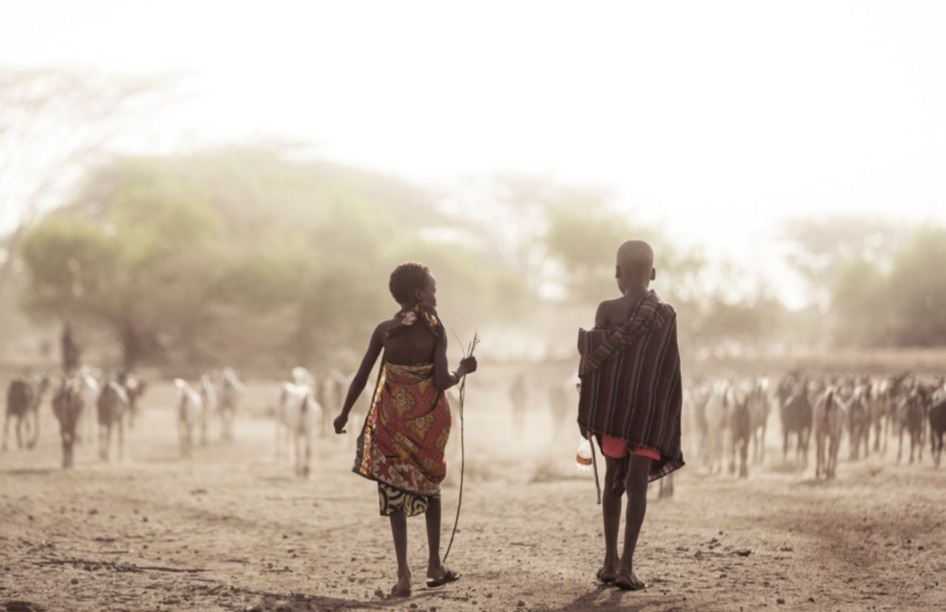 Harriet Hofsink / Compassion: Wat zie jij?