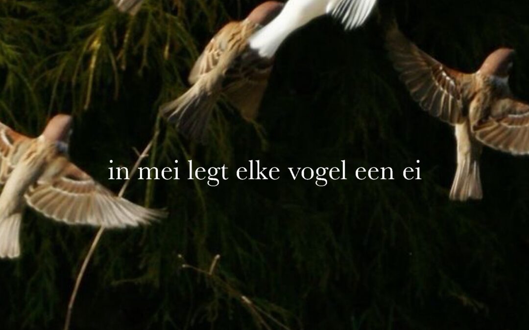 Robert van Harten / in mei legt elke vogel een ei:Relaties: liefde is een keuze